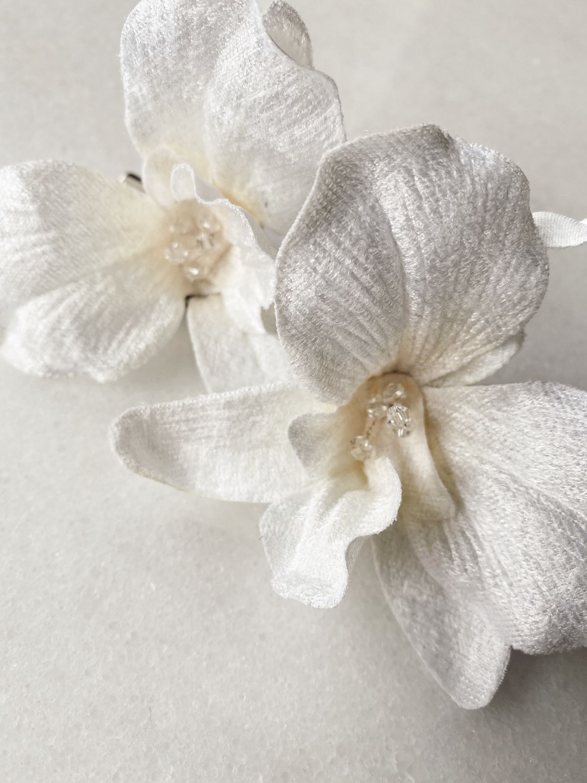 Orquídeas