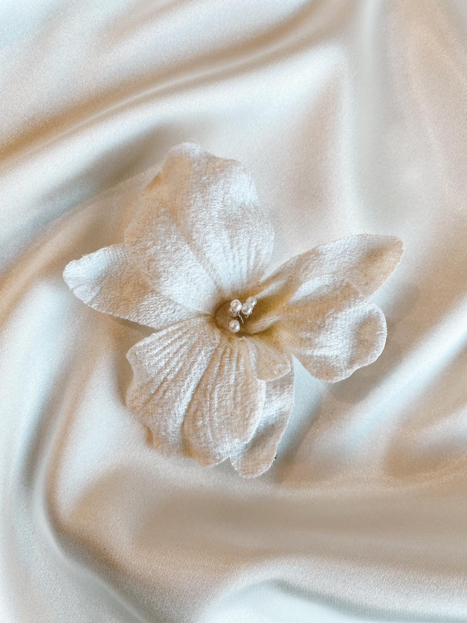 Boutonniére Orchid