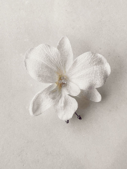 Boutonniére Orchid