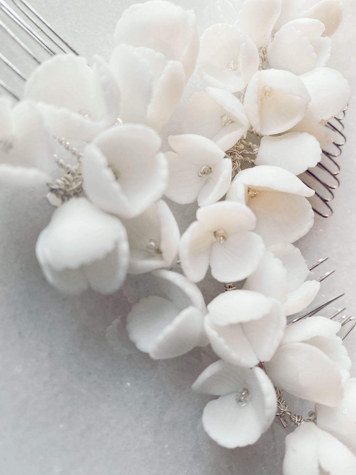 Hortensias