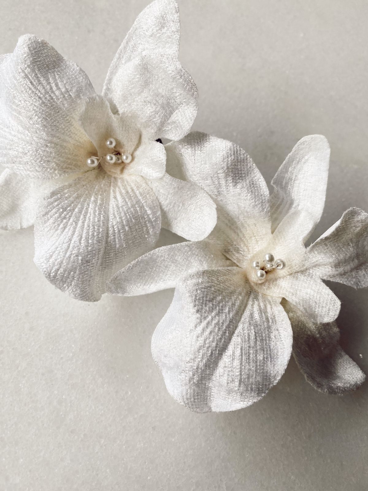 Orquídeas